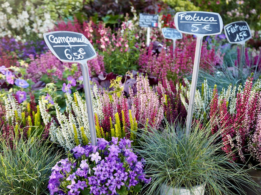 A vibrant display of fresh flowering plants including lavender, heather, and purple petunias arranged in pots and beds, with handwritten chalkboard signs indicating prices of 5€, 5.50€, and 15€.